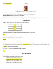 in the womb national geographic worksheet