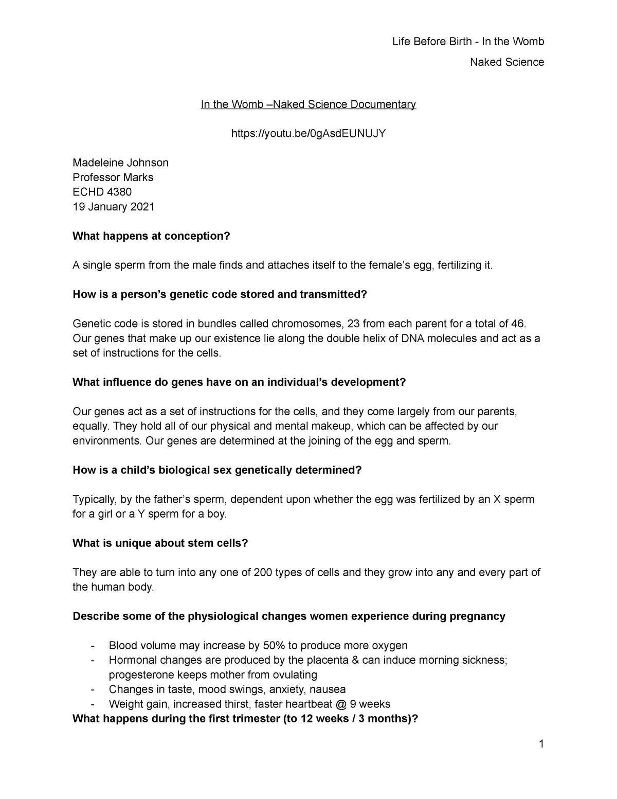 in the womb national geographic worksheet