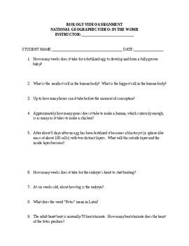 in the womb national geographic worksheet