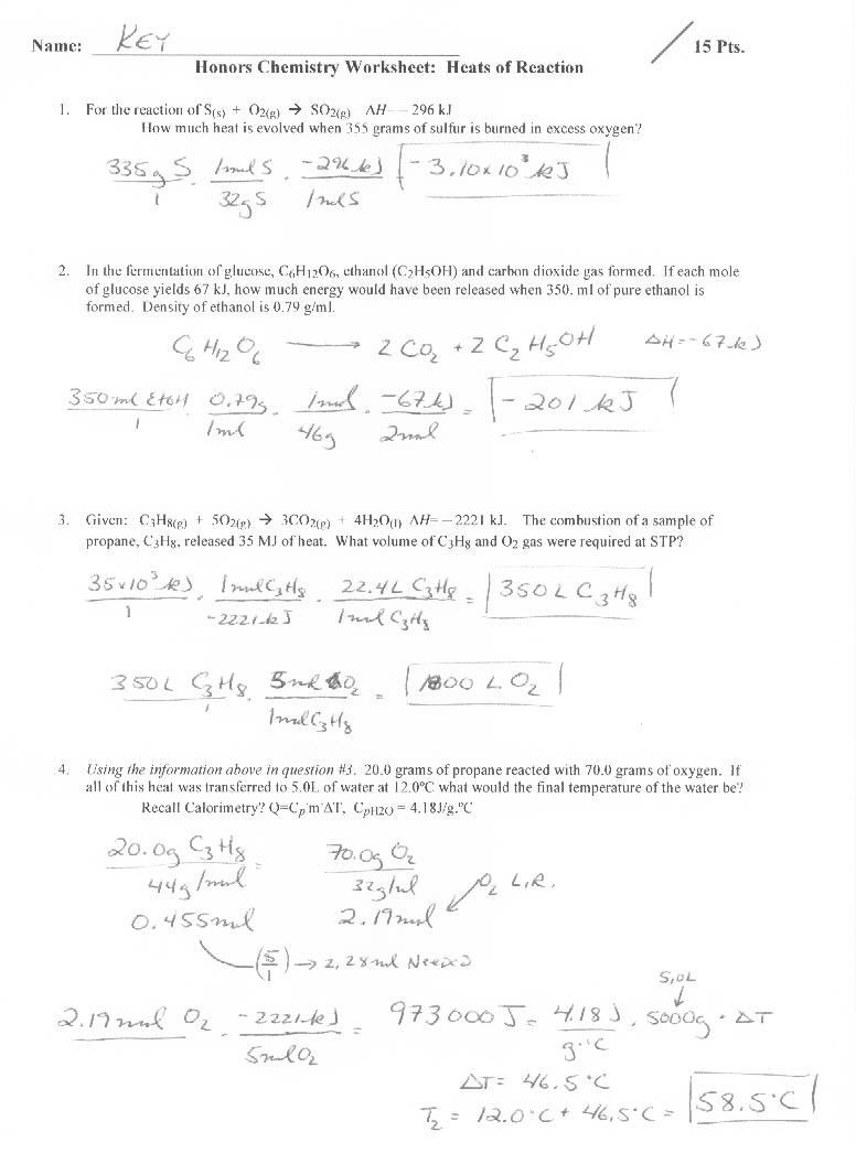 in the womb national geographic worksheet