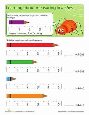Measuring Bug: Inches | Interactive Worksheet 