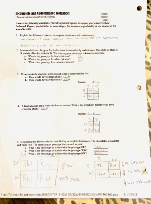 incomplete and codominance worksheet