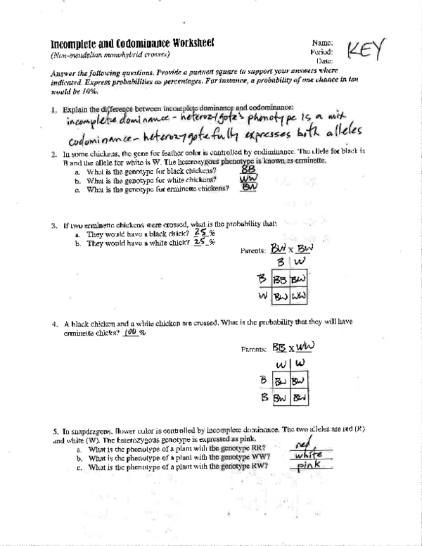 incomplete dominance and codominance worksheet