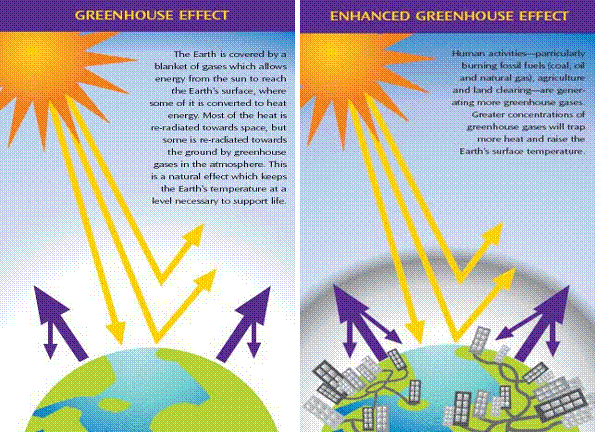 ANSWER KEYS: An Inconvenient Truth Worksheets (Parts I, II, and ...