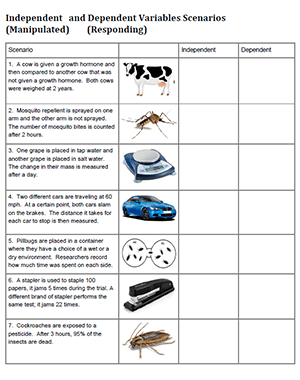 independent versus dependent variable worksheet