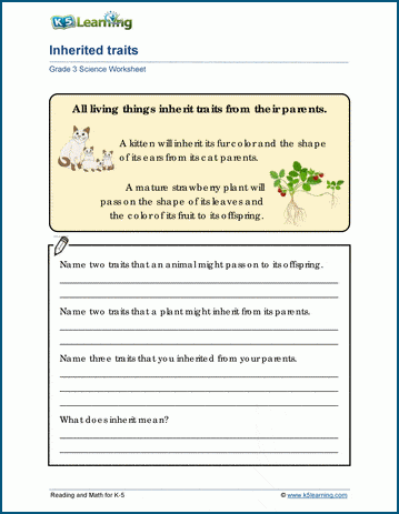 inherited traits worksheet 4th grade