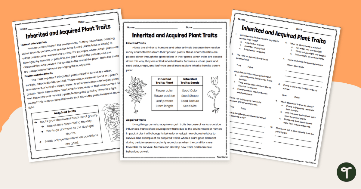 inherited traits worksheet 4th grade