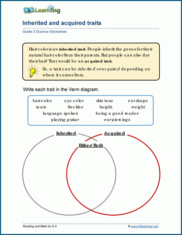 inherited traits worksheet 4th grade