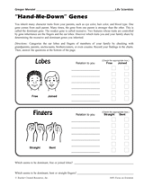 Hand-Me-Down Genes Printable (4th - 8th Grade) - TeacherVision