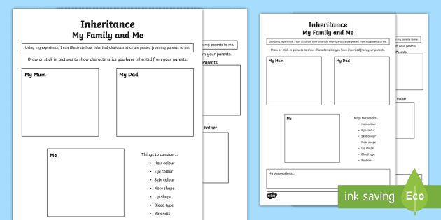 Inherited Traits Worksheet - Evolution and Inheritance