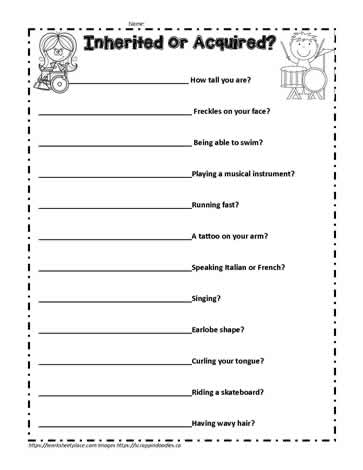 inherited vs acquired traits worksheet