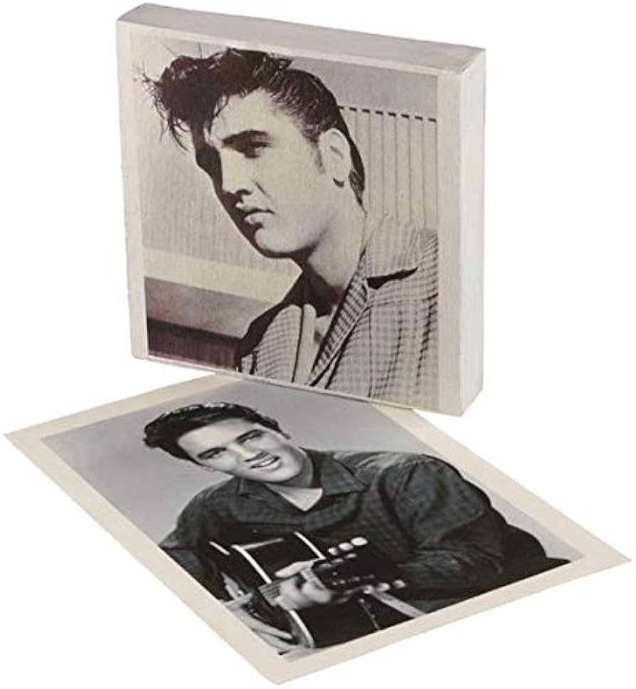 Adhesive Inkjet Canvas Transfer Sheets by Gecko Paper | Inkjet Compatible  Canvas + Print Your Own Canvas at Home + A4 Pack of 5 Sheets