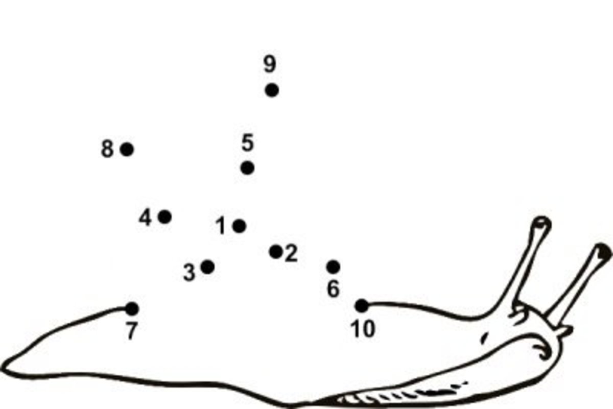 25-free-dot-to-dot-printables-from-very-easy-to-extreme-hubpages-worksheets-library for Free Easy Dot To Dot Printables 25+ Free Dot-to-Dot Printables (From Very Easy to Extreme) - HubPages - Worksheets Library for Free Easy Dot To Dot Printables