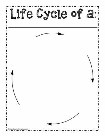 insect life cycles worksheet