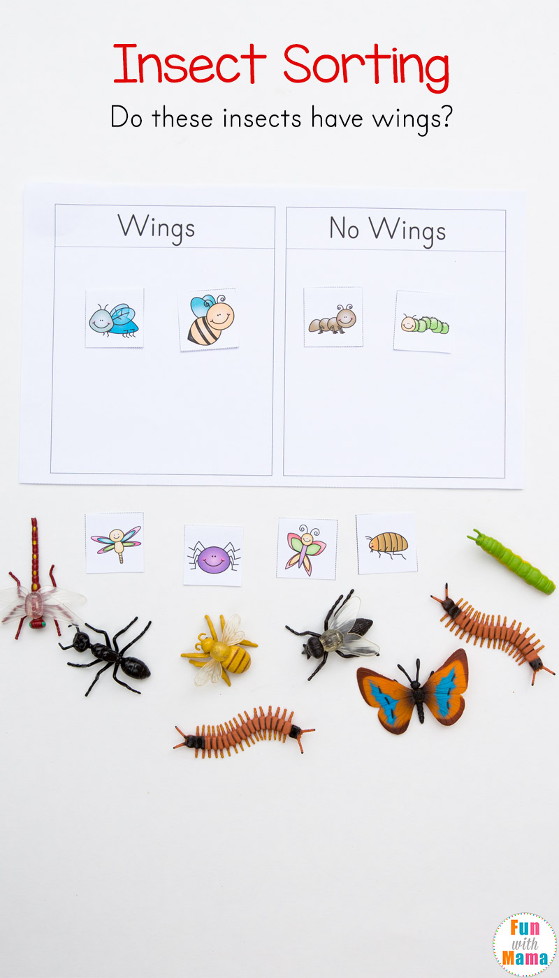 Preschool Insect Theme Sorting Worksheet + Bug Activities - Fun ...