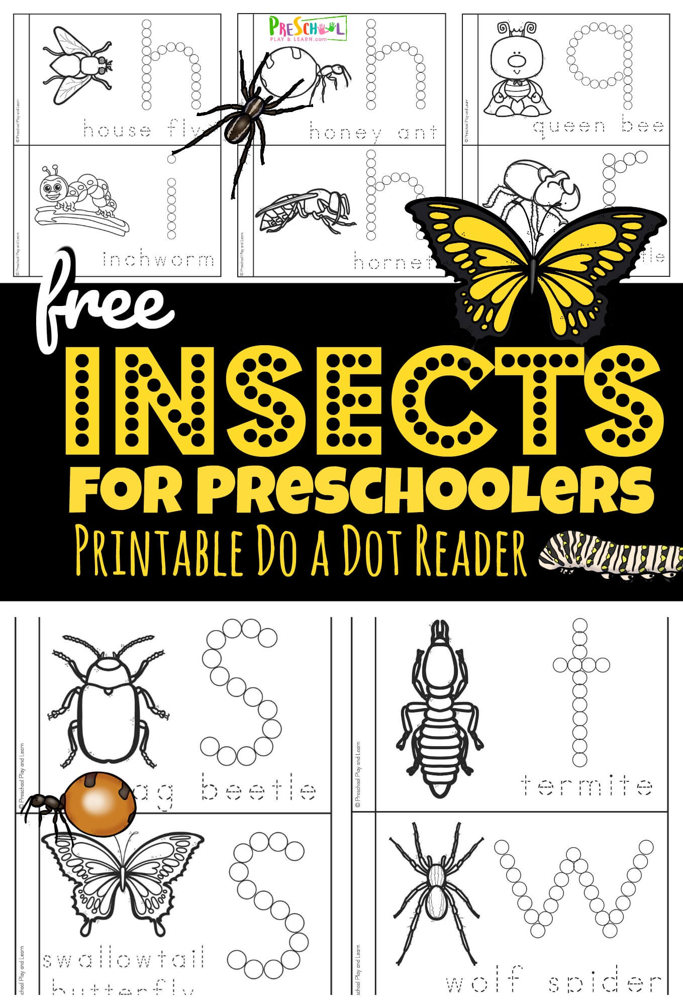 ?? ? FREE Insects for Preschoolers Printable Book
