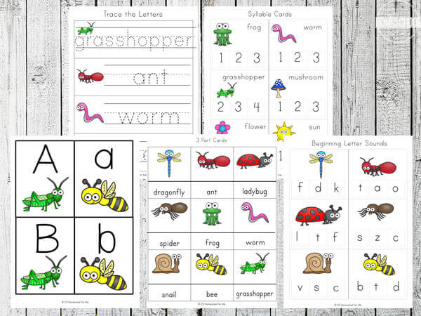 insect worksheet for kindergarten
