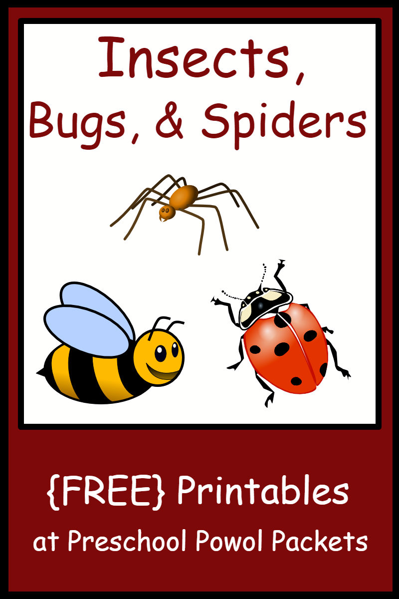 insect worksheet for preschoolers