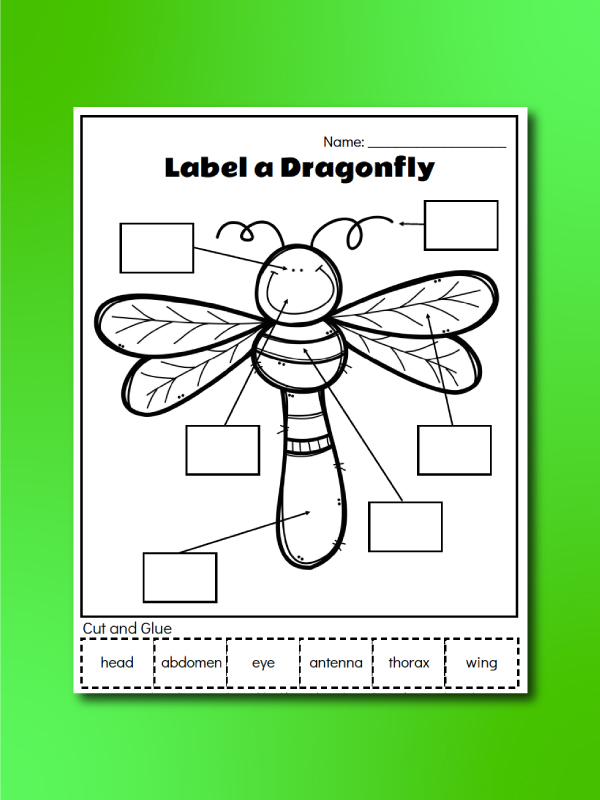 Printable Preschool Bug Activities For Kids