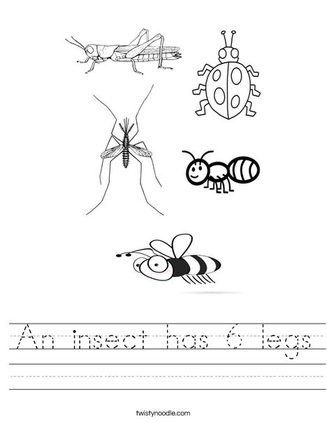 An insect has 6 legs Worksheet - Twisty Noodle
