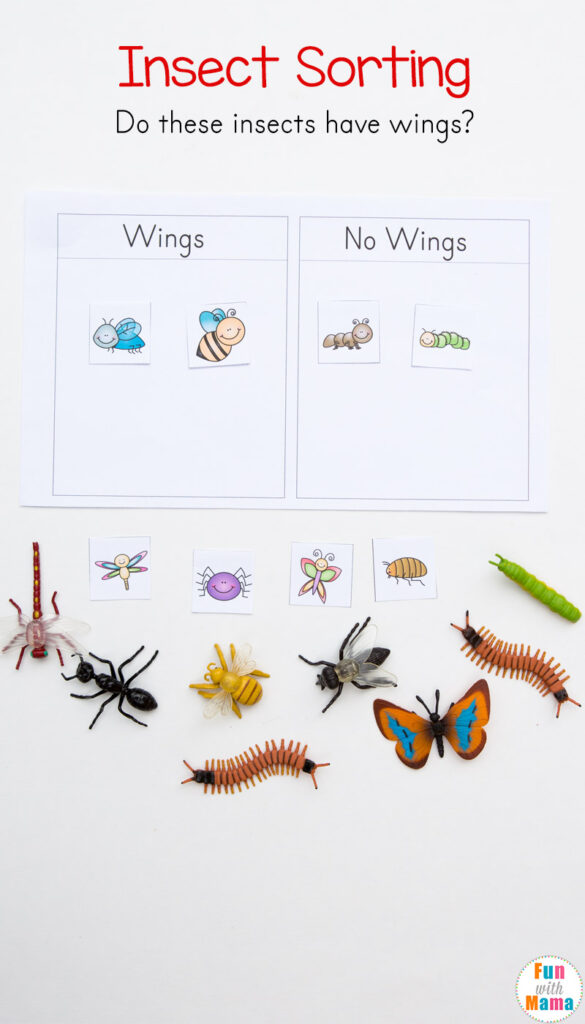 Preschool Insect Theme Sorting Worksheet + Bug Activities - Fun ...