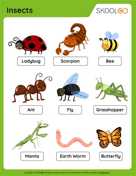 Insects Kindergarten Worksheets