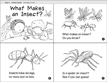 Insects Printables Worksheets, Activities, Coloring Pages, Clipart ...