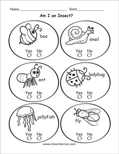 What is an insect worksheets for preschools