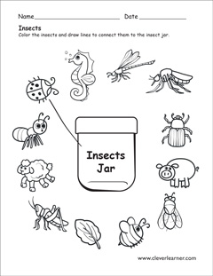insects worksheet for preschool
