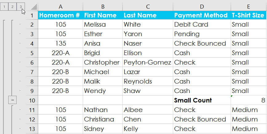 Excel 2016: Groups and Subtotals