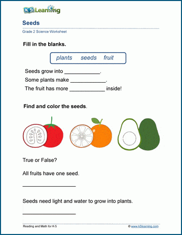 Plant Seeds Worksheets | Worsheets library