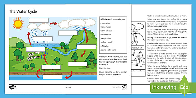 Explain the Water Cycle in your Own Words Worksheet - Twinkl
