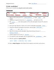 cycles worksheet - Integrated Science Name Cycles worksheet Please ...