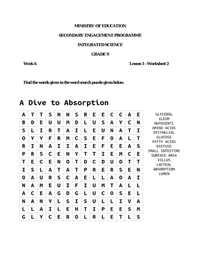 integrated science worksheet
