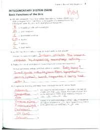 Worksheet Integumentary System with Answer Key | Exercises Anatomy ...