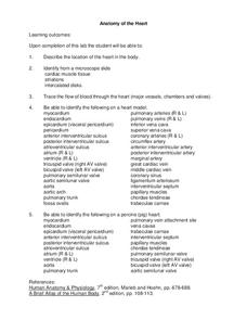 Heart Anatomy Physiology Lesson Plans &  Worksheets