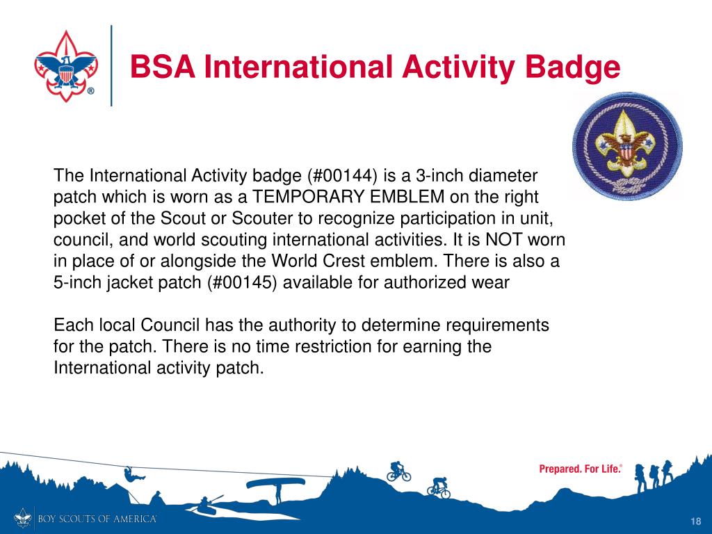 PPT - BSA Adult Awards PowerPoint Presentation, free download - ID ...
