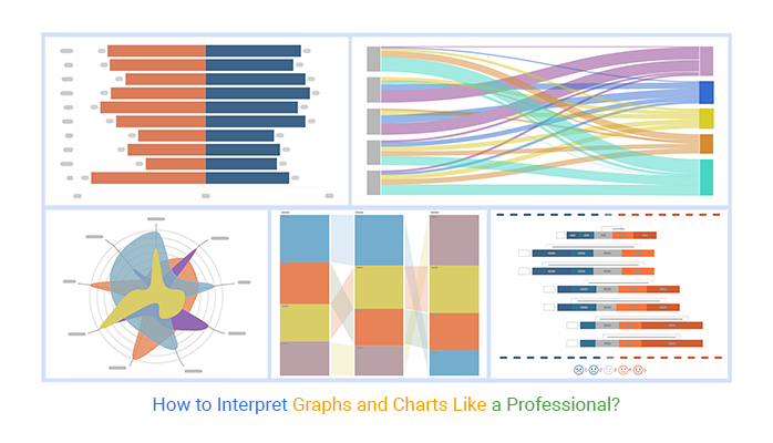 How to Interpret Graphs and Charts Like a Professional?