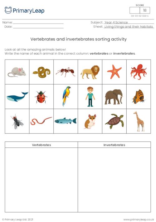Science: Vertebrates/invertebrates sorting activity | Worksheet ...