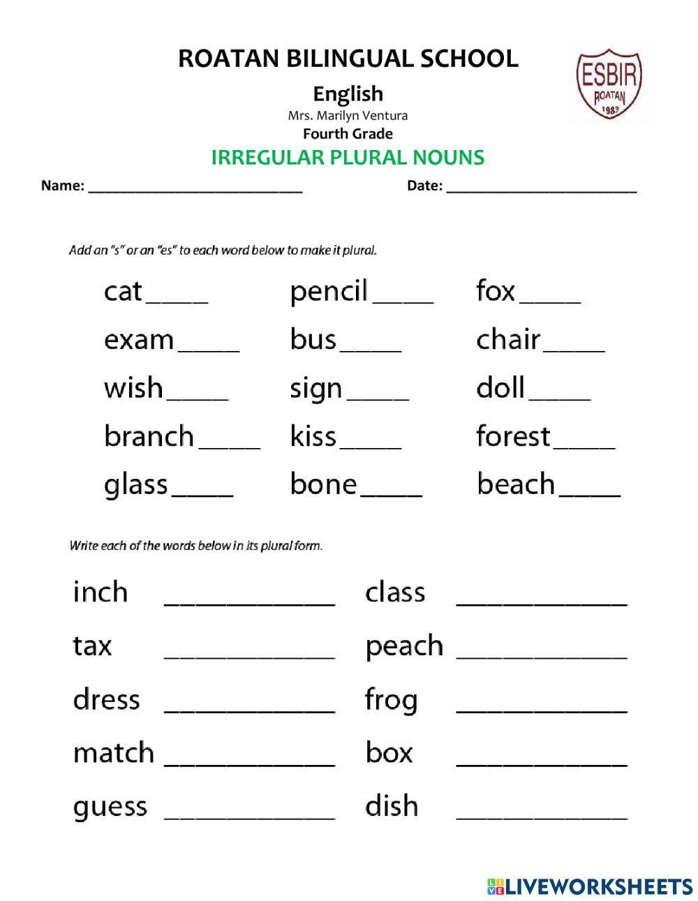 Pdf online activity: Irregular Plural Nouns  