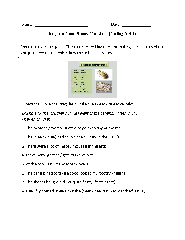 Nouns Worksheets | Irregular Nouns Worksheets