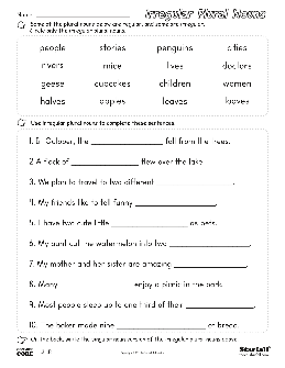 irregular plural nouns worksheet 5th grade