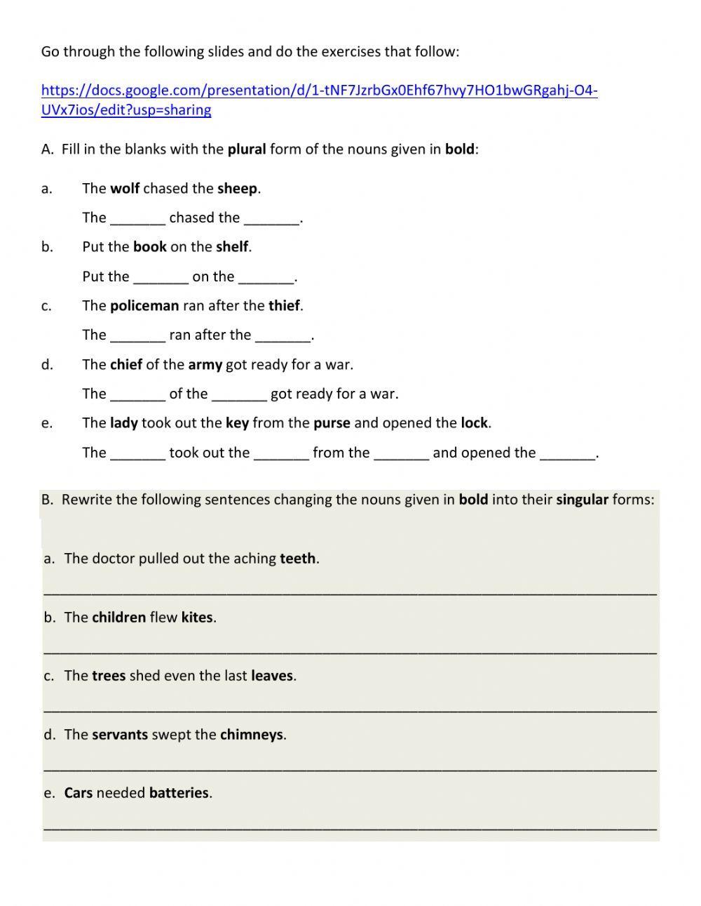irregular plural nouns worksheet 5th grade