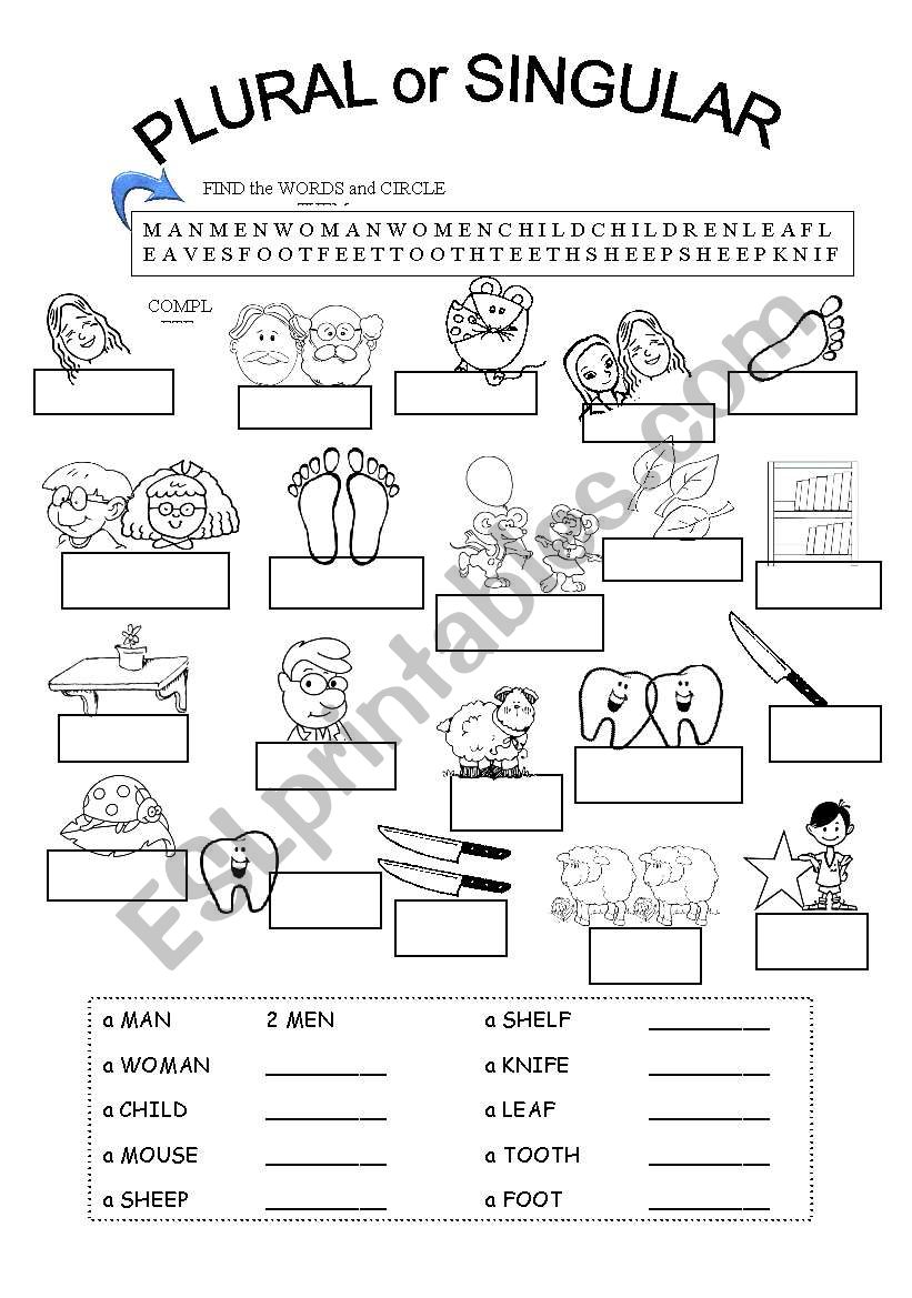 IRREGULAR PLURALS - ESL worksheet by Fabiola Salinas