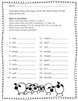 Irregular Plural Nouns Worksheet  