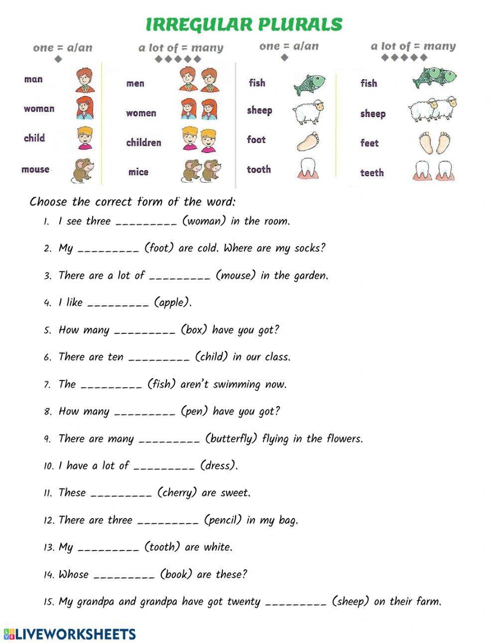 irregular plurals worksheet