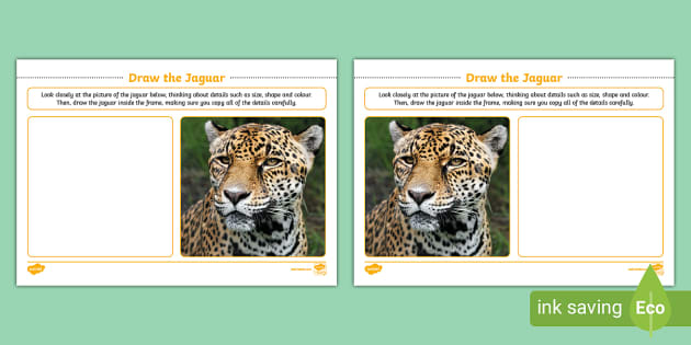 Draw the Jaguar Worksheet (teacher made) - Twinkl