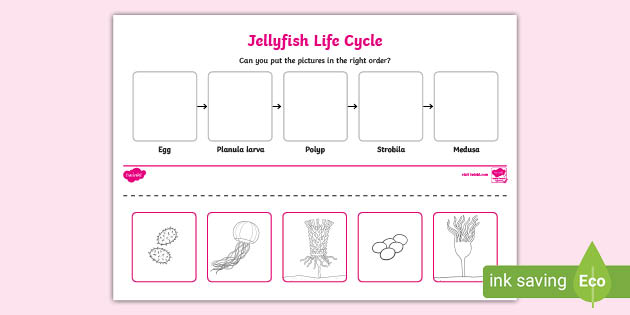 jellyfish worksheet vector design, the task is to cut and glue a ...