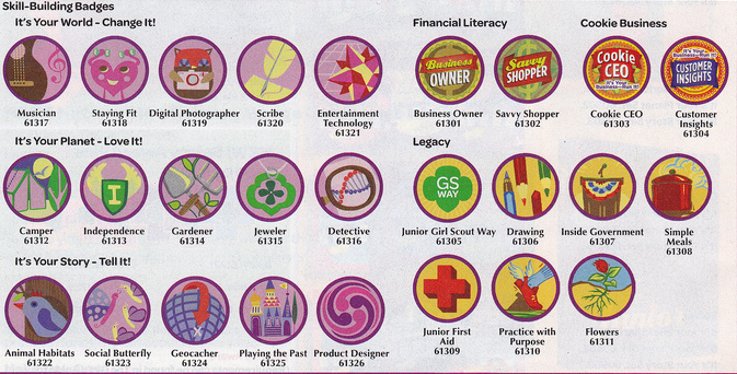 junior girl scout badge worksheet