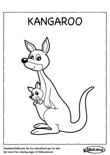 Download Free Kangaroo Coloring Page and educational activity ...